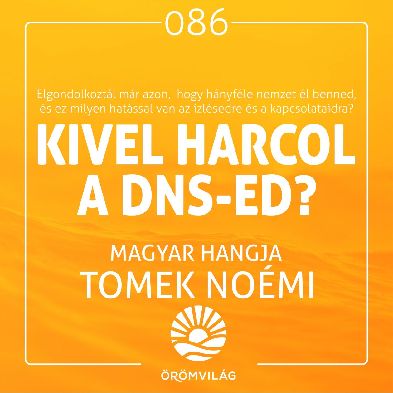 #86 Kivel harcol a DNS-ed?