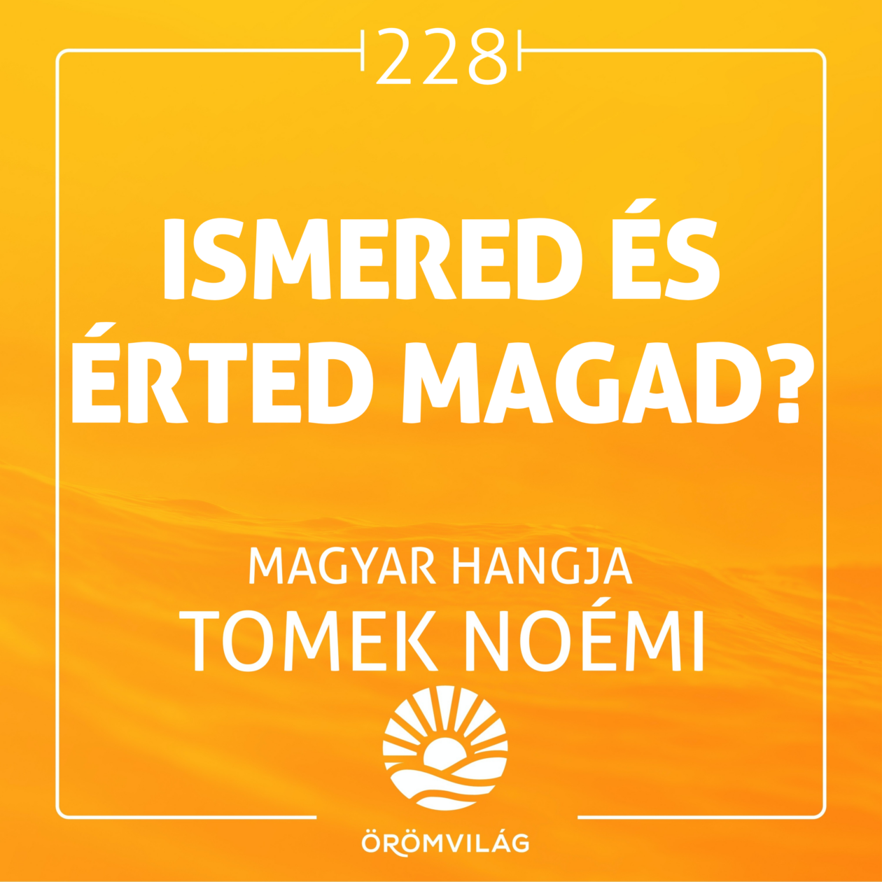 #228 Ismered és érted magad?