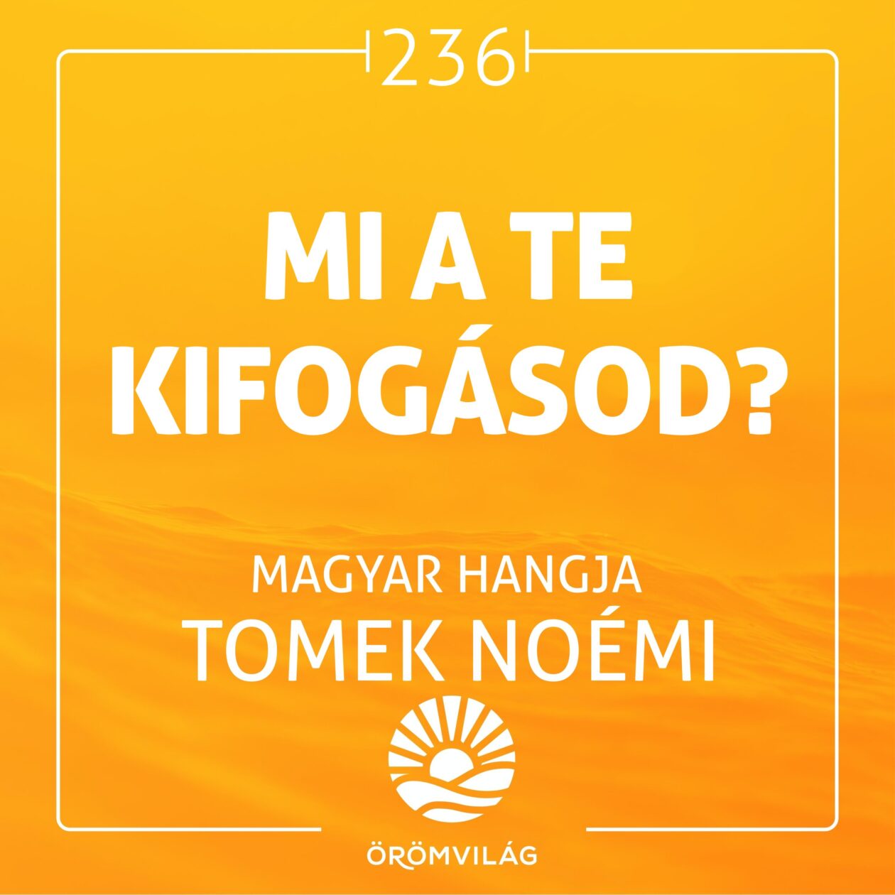 #236 Mi a Te kifogásod?